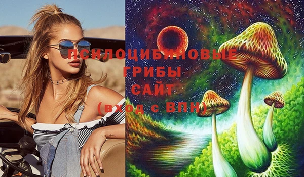 ECSTASY Алексин