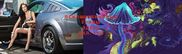 ECSTASY Алексин